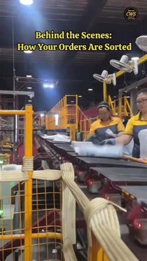 Ever Wonder How Your Packages Are Sorted? 📦 Warehouse BTS #logistics #shorts‎⁨ #package #warehouse