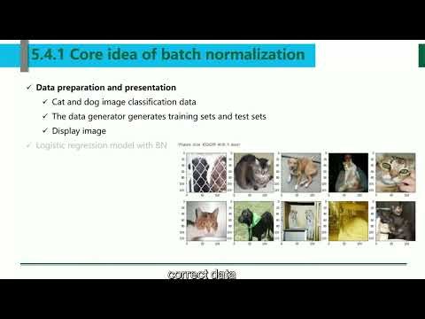 Chapter 5 Clacssic Convolutional Neural Networks 4