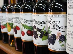 Nob Hill Travel Guide - Expert Picks for your Vacation