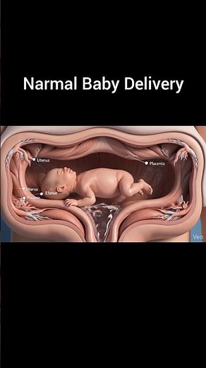 Normal Baby Delivery Process Explained | Inside View of Childbirth (3D Animation)