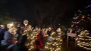 11 reactions | TONIGHT AT ADELPHI: Adelphi Academy of Brooklyn Head of School Ms. Iphigenia Romanos led the countdown as students, staff, alumni, friends and supporters gathered with excitement on Adelphi’s grounds for the Academy’s Annual Holiday Tree Lighting for the Community! Count along and enjoy as more than 150 trees sponsored to benefit Adelphi’s award-winning Project Succeed program are lit for all to enjoy this holiday season! | Adelphi Academy of Brooklyn | Facebook