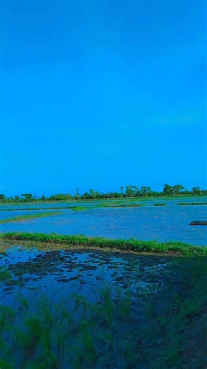 suara asli - sunhiee_24 - sunshine_24 ပါဝင်သည့် htetaunghein946 (@htetaunghein946) ၏ ဗီဒီယိုများ