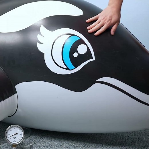 A Very Firm Inflatable Pool Toy Whale