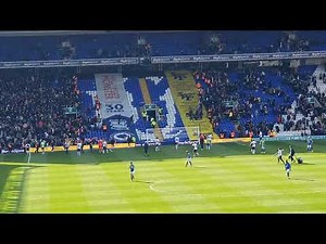 Birmingham City & Millwall Fans Fight Inside St. Andrews Stadium At Full Time 2-2