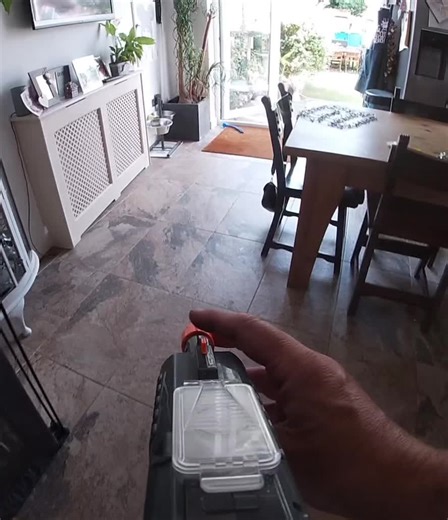 Laser vs Insect: Bug-A-Salt Demonstration