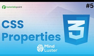 Mind Luster - Learn Common CSS Properties Comments in CSS CSS Course for Beginners
