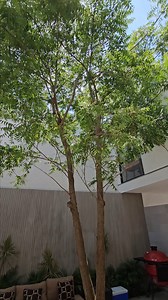 CASA ENTREPATIOS en CLIMA TROPICAL | Obras Ajenas | T64 Arquitectos La Casa Entrepatios es una vivienda unifamiliar que busca potenciar la obra para el clima tropical, partiendo de patios que ayuden a la ventilacion e iluminacion natural. La idea central es una vista interior que sea el corazon de la casa logrando una atmosfera mas intima que permita disfrutarse los ambientes logrados a partir de la concatenacion del interior con el exterior. Con esto se manifiesta una vivienda bioclimatica con 
