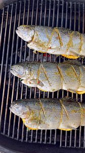 199K views · 2.4K reactions | Grilled whole fish is one the best and trout is a perfect fish to choose. I’m walking you through step by step and it’s so incredibly easy. If you have ever grilled fish you know that the texture turns out absolutely amazing. #Grilling #fish #seafood #hookedonbbq | Hooked on BBQ | Facebook