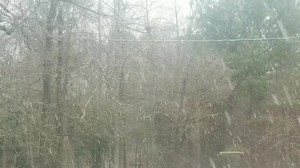 81K views · 1.1K reactions | ❄️ It's SNOWING! A viewer just sent us this video of what looks like a Winter Wonderland in Floyd County! Are you seeing flurries yet? https://2wsb.tv/2UzJbzT Please share your photos and videos below and let us know where it was taken! | WSB-TV | Facebook
