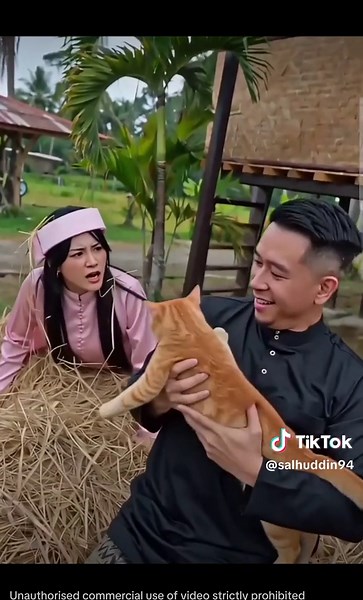 Funny Sounds Compilation