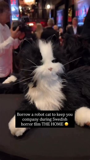Welcome to THE HOME – where you and your loved ones come to die. But at least there are cats ❤ 💀 Swedish horror film THE HOME, directed by @mattiasjskoglund had its world premiere in the Midnighter Section @sxsw and is travelling the world at the best genre film festivals. 💀 The film has now reached Swedish cinemas and at selected screenings you can borrow a cat to keep you company through the horrors. Don’t miss out if you’re in Sweden! 💀 Joel reluctantly returns to his childhood home to hel