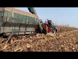 Bill Burnhams 1975 NEW IDEA mounted Corn Husker-Picking Corn/1951 Farmall “M”