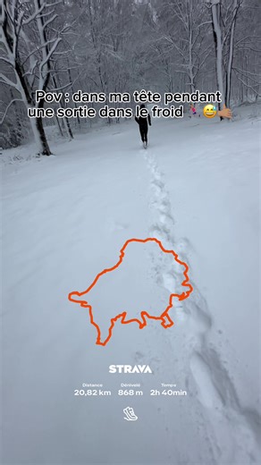 Dans ma tête pendant une sortie dans le froid 🏃🏽‍♂️😅🤙🏽 . . . . #run #trail #motivation #letsgo #humour @aitoguerrierdupacifique @COMPRESSPORT @Altrarunning