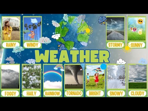 How's The Weather? | Weather Song for Kids | Learning Weather with BunnyBun | Weather Vocabulary