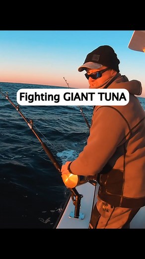 10K views · 105 reactions | Fighting a GIANT Tuna #fishing | My Fishing Cape Cod | Facebook
