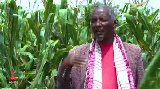 11K views · 583 reactions | ከወልመል መስኖ ልማት የምናገኘውን ውሃ እንደ ነዳጅ ነው የምንቆጥረው! አርሶ አደሮች! | Ministry of Irrigation & Lowlands - Ethiopia | Facebook