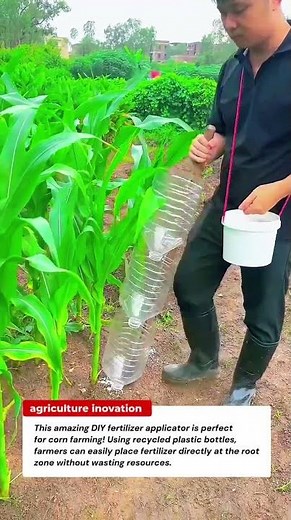 Genius DIY Fertilizer Applicator for Corn Farming – Simple and Effective