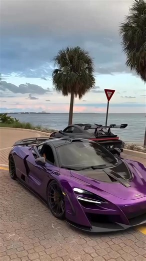 Charlotte Evans on Reels