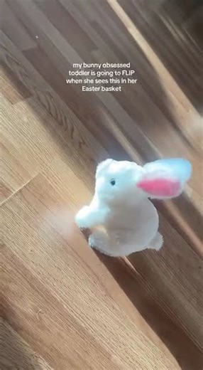 Hopping Walking Rabbits Toy
