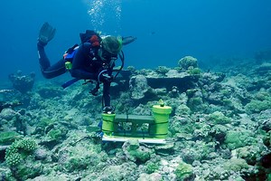 Researchers test physics of coral as an indicator of reef health