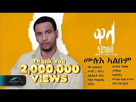 ela tv - Temesgen G/selassie - Taniqo - Wala Aykeseb - Vol 1 - ሙሉእ ኣልቡም - 1 Hour - Relaxing Video