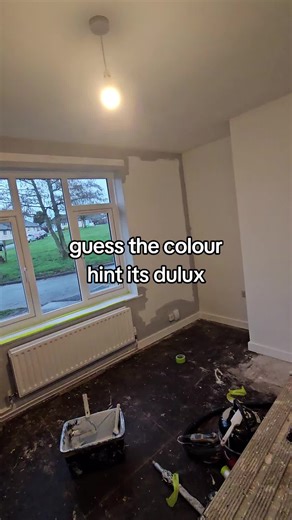 Guess the Color: A Fun Dulux Painting Challenge