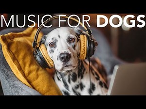 10 HOURS of Dog Relaxing Music 💖🦮 Peaceful Melodies for Dogs: Relaxation, Calmness, and Serenity