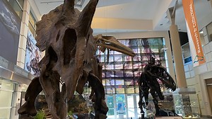Dinosaur Festival returns to Virginia Museum of Natural History