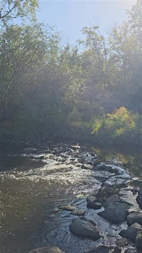 💜Sacred Spirit Reiki Rhythms💜 | Sacred Spirit Reiki Rhythms