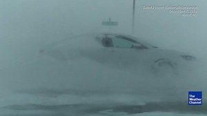 790K views · 6.2K shares | A good day to stay inside -- wicked winds whipped snow through this parking lot in Minot, North Dakota. | The Weather Channel | Facebook