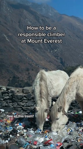 Some responsibility to be there for the peak 🙏🙏 🎥: National Geographic | Travel Nepal