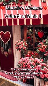 Beautiful setups for Valentines Day Photos are ready for you and your...