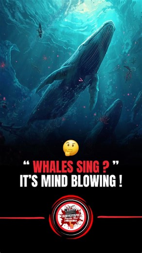 Is it true whales sing? it’s mind blowing #wildlife #whales