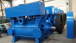 [Hot Item] Large Capacity 2be Water Ring Vacuum Pump