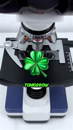 Apple under a microscope 🔬 🤢