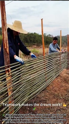 Two Build Bamboo Fence: Perfect Teamwork DIY! 🎋🔨