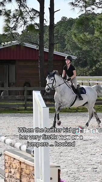 Hunter vs Jumper: A Battle of Riding Styles