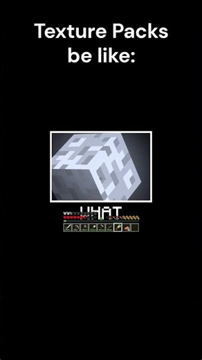 Texture Packs be like: