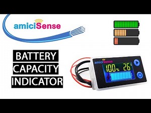 amicisense 10-100V UNIVERSAL BATTERY CAPACITY INDICATOR | CHECK VIDEO DESCRIPTION