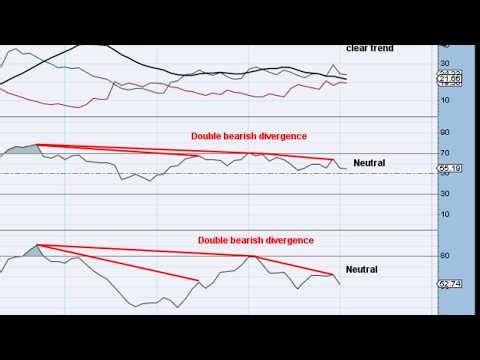 The Analyst who Called the Crash