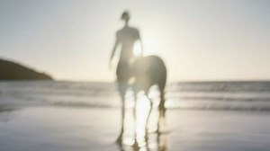 Internet unsure what to think of Adam Driver as a centaur