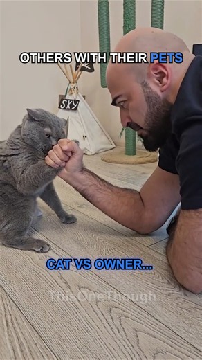 When Animals Act Like People #shorts