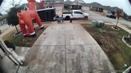 Best Techniques to Stop an Attacking Dog