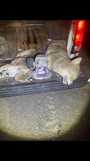 Taking care of business.