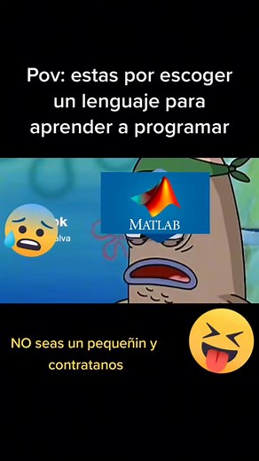 Aprende a programar con MATLAB: Métodos y tareas
