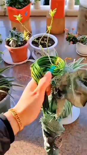 Mire Novelynira on Instagram: "The “Price Drop Alert” Effect and Consumer Excitement Amazon’s dynamic pricing system creates unpredictable price drops that trigger a sense of excitement similar to winning a small reward. This stimulates dopamine—the brain’s “pleasure chemical”—making consumers feel that they’ve discovered something exclusive. The feeling can be so strong that it overshadows rational evaluation, pushing buyers to purchase simply because the price dropped, not because they truly n