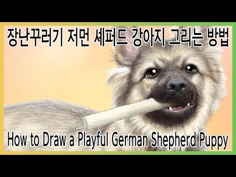장난꾸러기 저먼 셰퍼드 강아지 그리는 방법 How to Draw a Playful German Shepherd Puppy