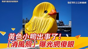 #艾迪墨菲：歐買尬...小鴨還好嗎～～ ▌展期只剩倒數5天⋯黃色小鴨出事了！「消風照」曝光網傻眼 ▌來源:高雄市議員邱俊憲提供 | 三立iNEWS | Facebook