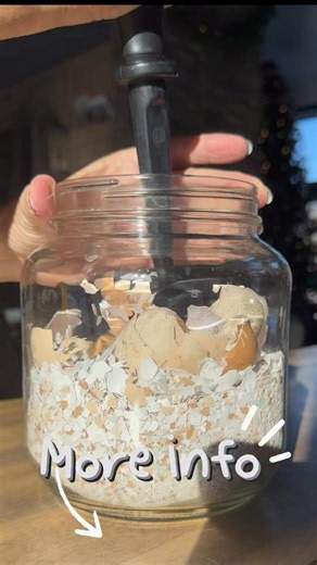 Sarah Baior on Instagram: "Since a few of you asked… here’s everything I do with our egg shells. For those that rather just a list with no fluff, scroll to the bottom 😜 We save them in the kitchen window mainly because it’s convenient 😜 and honestly I think they look great sitting there — Gives the house a nice “lived in” look 🤣 Here’s how we prep them: We rinse each shell under warm water, then set it on a jar lid in the window to dry. Once they’re fully dry, we toss them into the jar and cr
