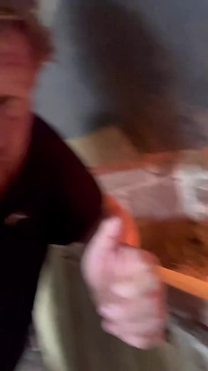 1.1K views · 13 reactions | Turkey farm in Denver turkey farm denver...